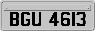 BGU4613