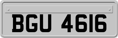 BGU4616