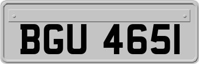 BGU4651