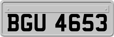BGU4653