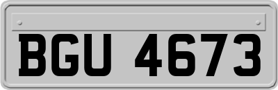 BGU4673