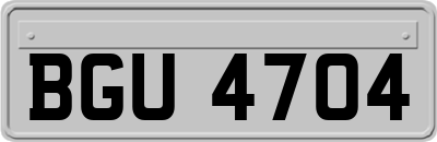 BGU4704
