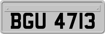 BGU4713