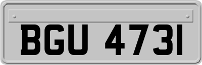 BGU4731