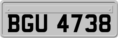 BGU4738
