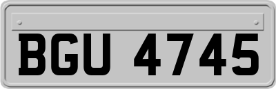 BGU4745