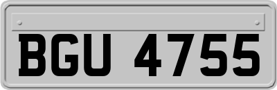 BGU4755