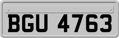 BGU4763