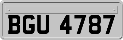 BGU4787