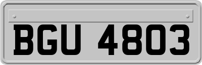 BGU4803