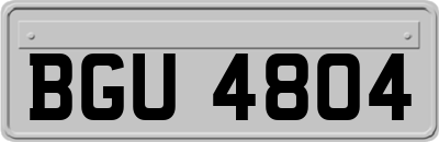 BGU4804