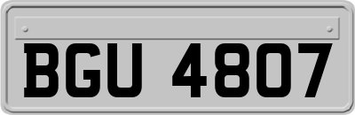 BGU4807