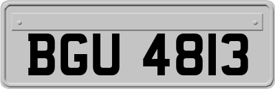 BGU4813