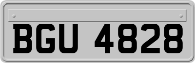 BGU4828