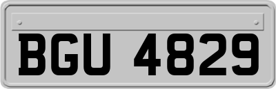 BGU4829