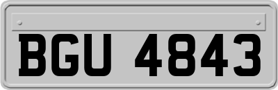 BGU4843