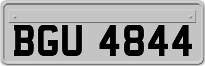 BGU4844