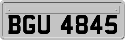 BGU4845