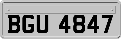 BGU4847