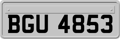 BGU4853