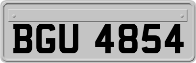 BGU4854