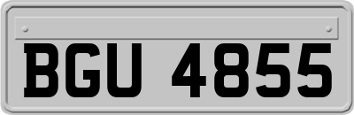BGU4855