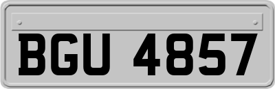 BGU4857