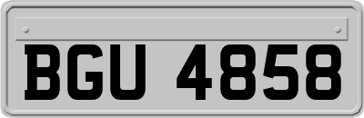 BGU4858