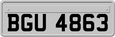 BGU4863