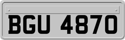 BGU4870