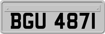 BGU4871