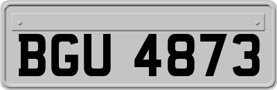 BGU4873