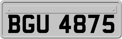 BGU4875