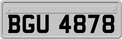 BGU4878