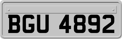 BGU4892