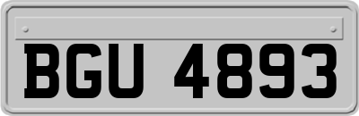 BGU4893