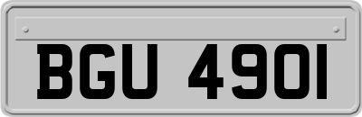 BGU4901