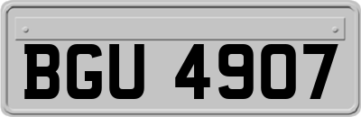 BGU4907