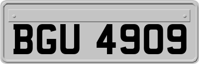 BGU4909