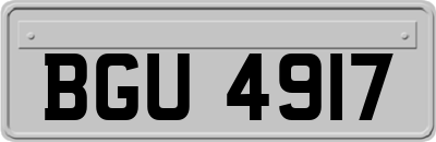 BGU4917