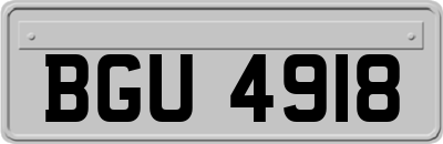 BGU4918