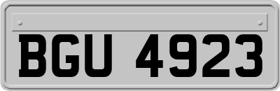 BGU4923