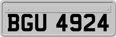 BGU4924