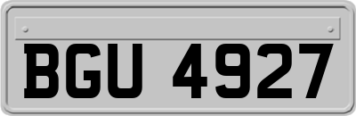 BGU4927