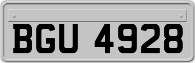 BGU4928