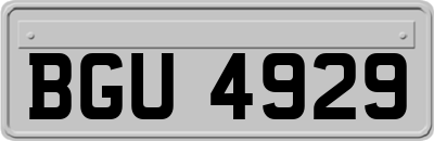 BGU4929