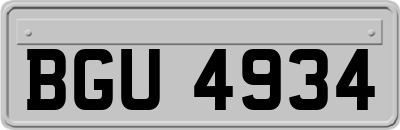 BGU4934