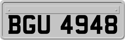 BGU4948