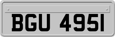 BGU4951