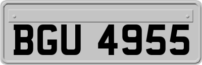 BGU4955
